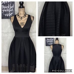 Bisou Bisou Fit and Flare Dress